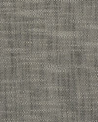 Neoma Carbon by  Scalamandre 