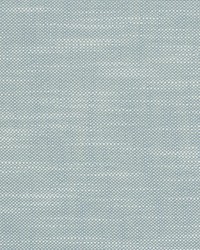 Neoma Robins Egg by  Scalamandre 