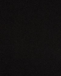 Solstice Velvet Raven by  Scalamandre 