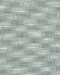 Neoma Aruba by  Scalamandre 