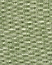 Neoma Basil by  Scalamandre 