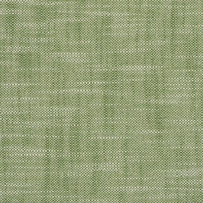 Scalamandre Neoma Basil VW 00170117 Green Upholstery POLYESTER  Blend Solid Outdoor  Fabric