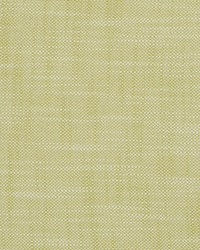 Neoma Pear by  Scalamandre 