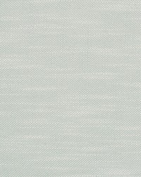 Neoma Seafoam by  Scalamandre 