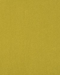 Solstice Velvet Lichen by  Scalamandre 