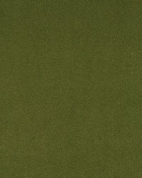 Solstice Velvet Nettle by  Scalamandre 