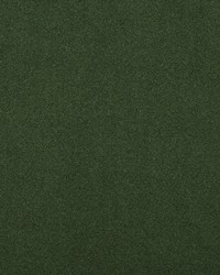 Solstice Velvet Evergreen by  Scalamandre 