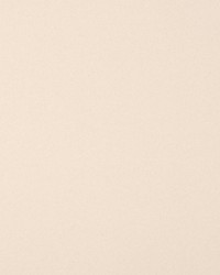 Solstice Velvet Rice by  Scalamandre 