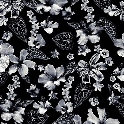 Scalamandre Wallcoverings Cariacou Noir WH000013340 Grey  Flower Wallpaper 