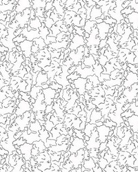 Ressemblance Ivoire Noir by   