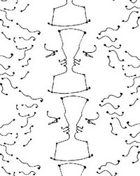 Tete A Tete Ivoire Noir by   