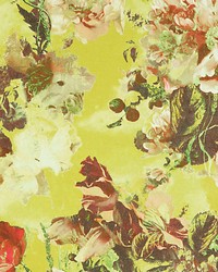 Flamboyant Pollen by   