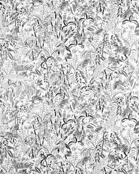 Kenya Noir by  Scalamandre Wallcoverings 