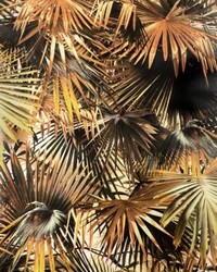 Polynesie Mordore by  Scalamandre Wallcoverings 