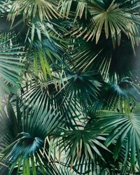 Polynesie Emeraude by  Scalamandre Wallcoverings 