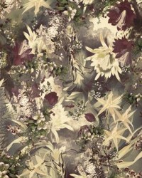 Vanille Pastel by  Scalamandre Wallcoverings 