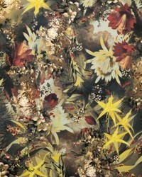 Vanille Mordore by  Scalamandre Wallcoverings 