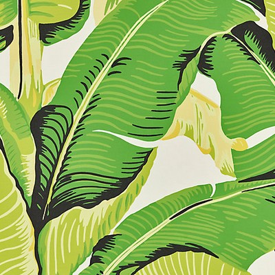 Scalamandre Wallcoverings Hinson Palm Mojito WHN000144000M Green  Tropical Wallpaper 