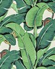 Scalamandre Wallcoverings HINSON PALM GREEN