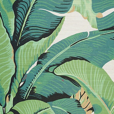 Scalamandre Wallcoverings Hinson Palm  Grasscloth Silver Gray WHN000144001M Green  Tropical Wallpaper 