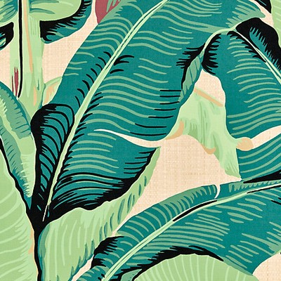 Scalamandre Wallcoverings Hinson Palm  Paperweave Green On Straw WHN000144003 Green  Tropical Wallpaper 