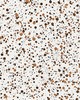 Scalamandre Wallcoverings SPATTER BROWN ON WHITE