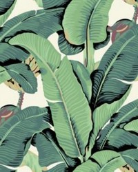 Hinson Palm Wide Width Green by   