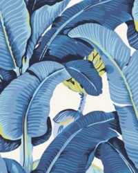 Hinson Palm Blue Lagoon by   