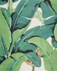 Hinson Palm Grasscloth Silver Gray by  Scalamandre Wallcoverings 