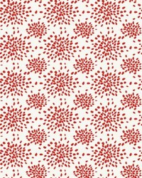 Fireworks Red On White by   