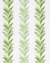 Chira Island Leaf by   