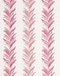 Chira Island Azalea by   