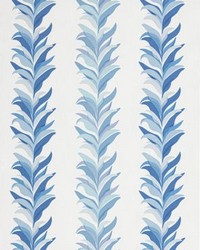 Chira Island Blue Marine by   