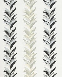 Chira Island Shadow by   