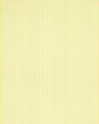 Wilson Stripe Lemon by   