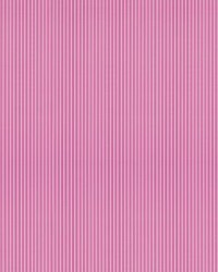 Wilson Stripe Bubblegum by   