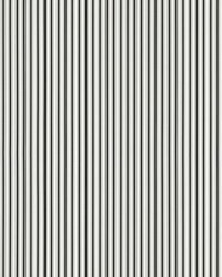 Johnson Stripe Onyx by   