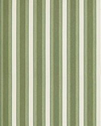 Arlo Stripe Evergreen by   