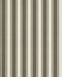 Arlo Stripe Mocha by   