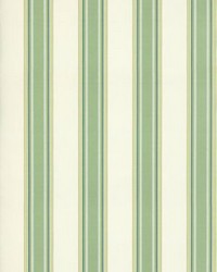 Nolan Stripe Key Lime by   