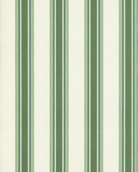 Nolan Stripe Fern by   