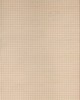 Scalamandre Wallcoverings HOUNDSTOOTH SISAL PEACH