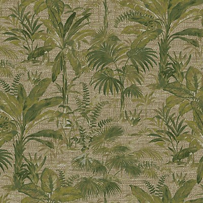 Scalamandre Wallcoverings Tropical Jungle Green Paraiso WJ200045010 Green  Tropical Wallpaper Leaves Trees and Vines Wallpaper 