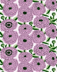 Primavera Chrysanthemum by   