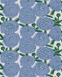 Primavera Cornflower by   