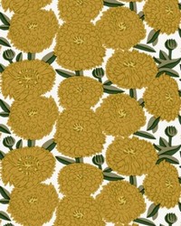 Primavera Marigold by   