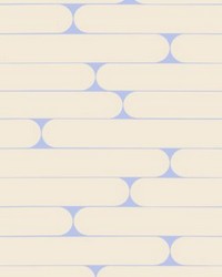 Putki Cornflower And Cream by   