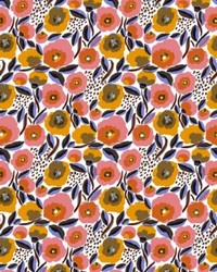 Rosarium Apricot Multi by   