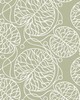 Scalamandre Wallcoverings BOTTNA SAGE