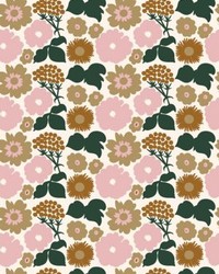 Kukkatori Strawberry Hazelnut by   